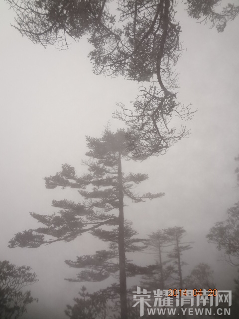 DSC01105.JPG
