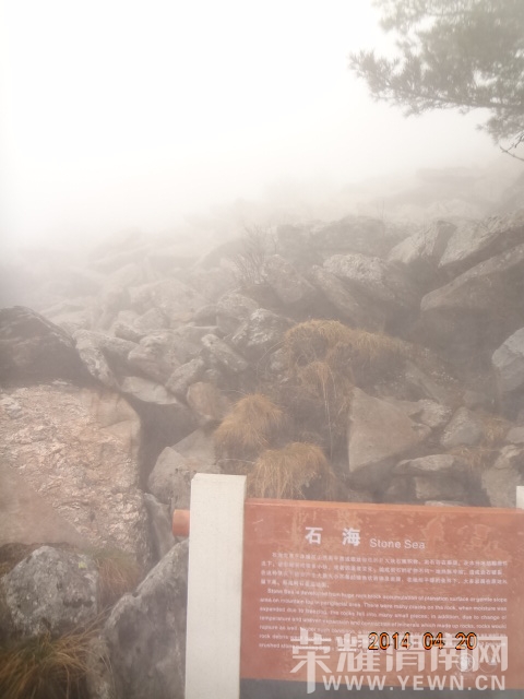 DSC01119.JPG