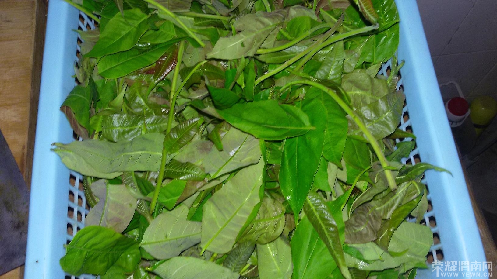 朋友被骗进渭南传销怎解救 - 百姓生活 - 荣耀渭