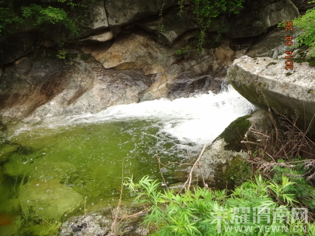 DSC01555.JPG