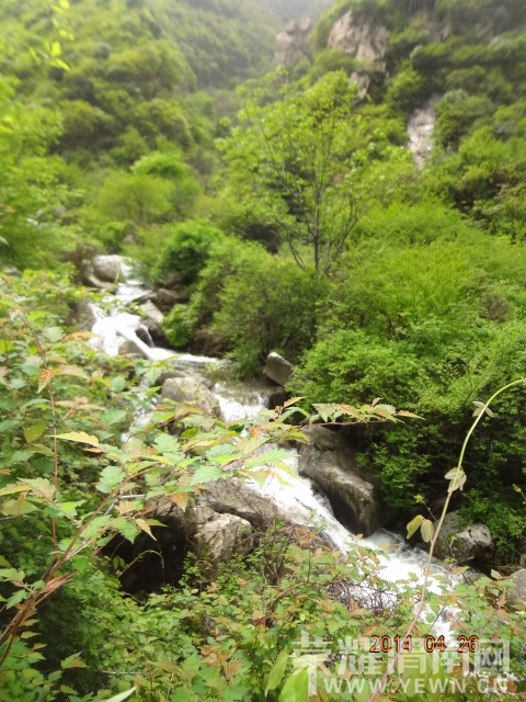 DSC01562.JPG