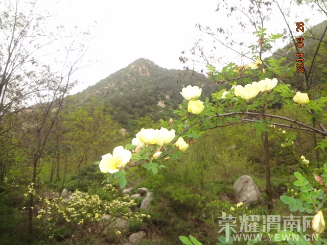 DSC01779.JPG