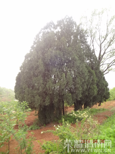 DSC01795.JPG