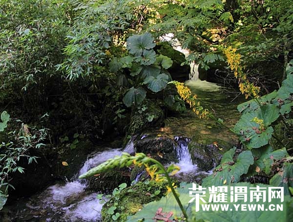 20110625040952103.jpg