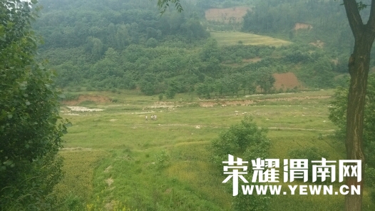 回老家过端午喽!发现农村各种新变化 - 百姓生