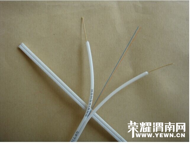 ��ɫƤ�߹���