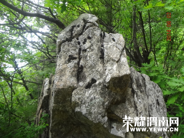 DSC02792.JPG