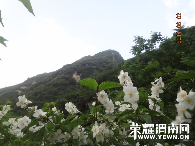 DSC02858.JPG