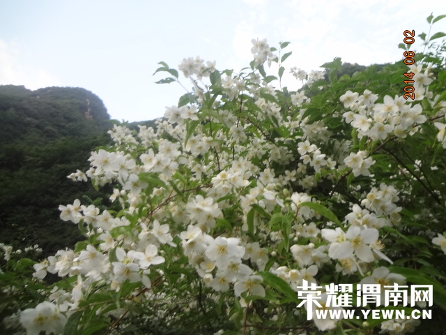 DSC02860.JPG