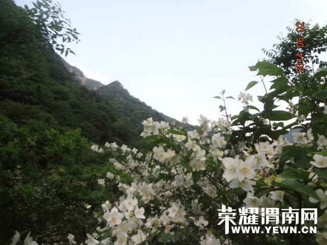 DSC02861.JPG