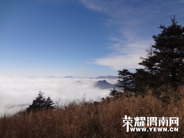 DSC05488.JPG