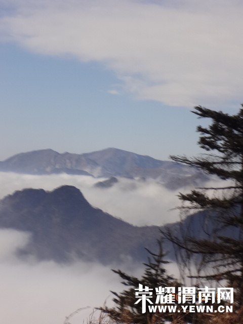 DSC05490.JPG