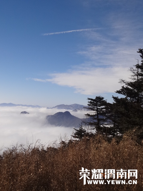 DSC05500.JPG