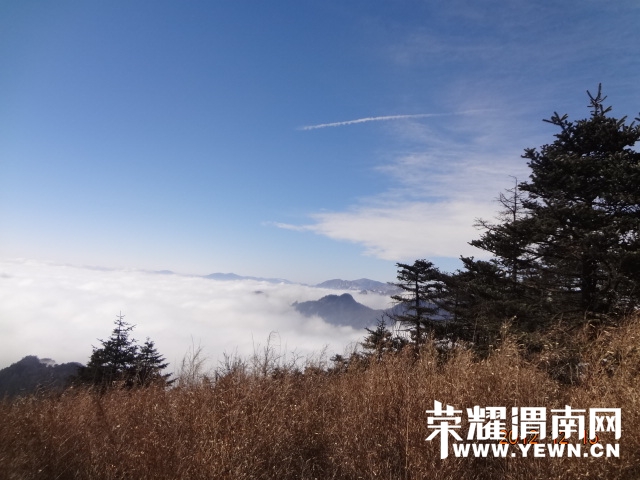 DSC05502.JPG