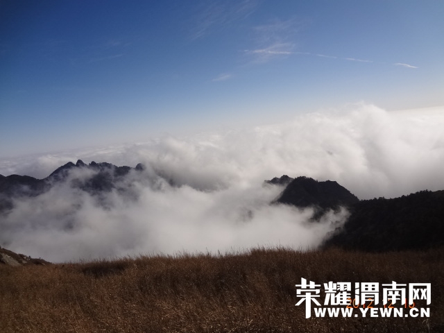 DSC05534.JPG