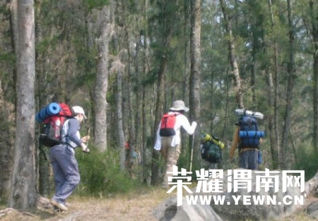 201049171014.jpg