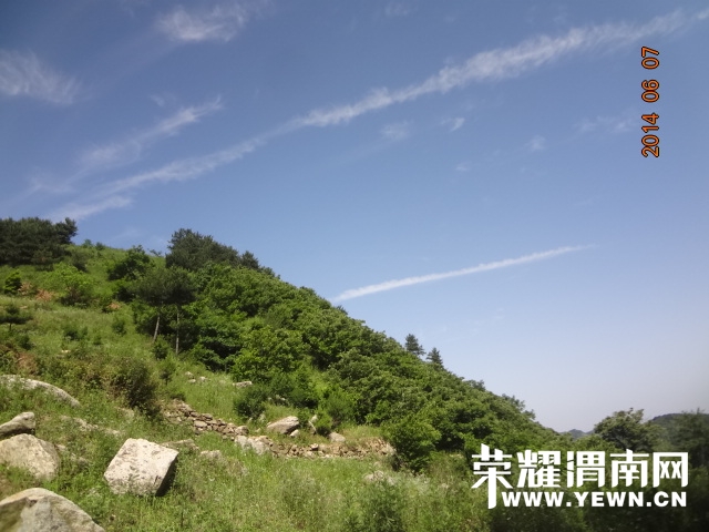 DSC02878.JPG