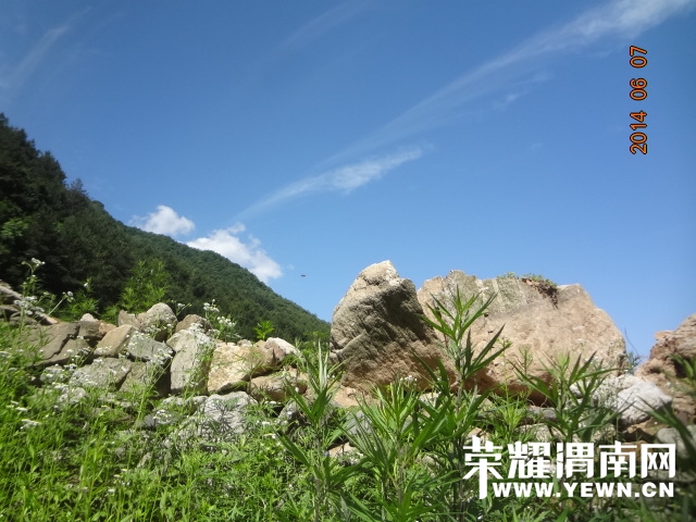 DSC02891.JPG