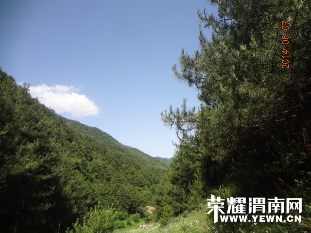 DSC02896.JPG