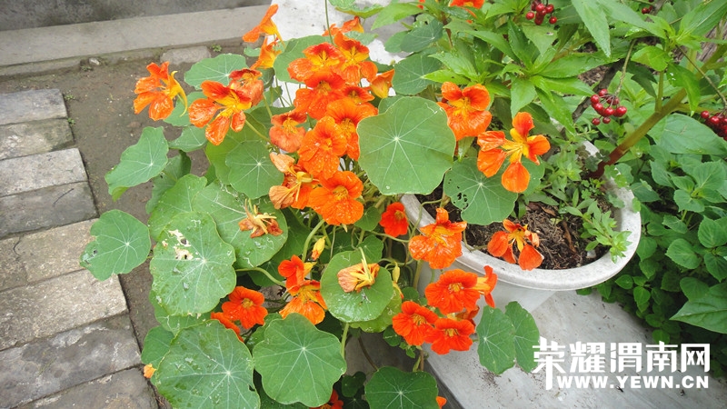 DSC00826.JPG