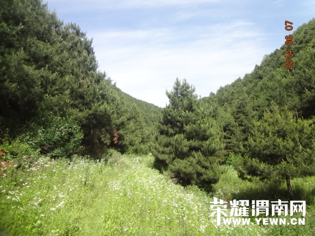 DSC02957.JPG