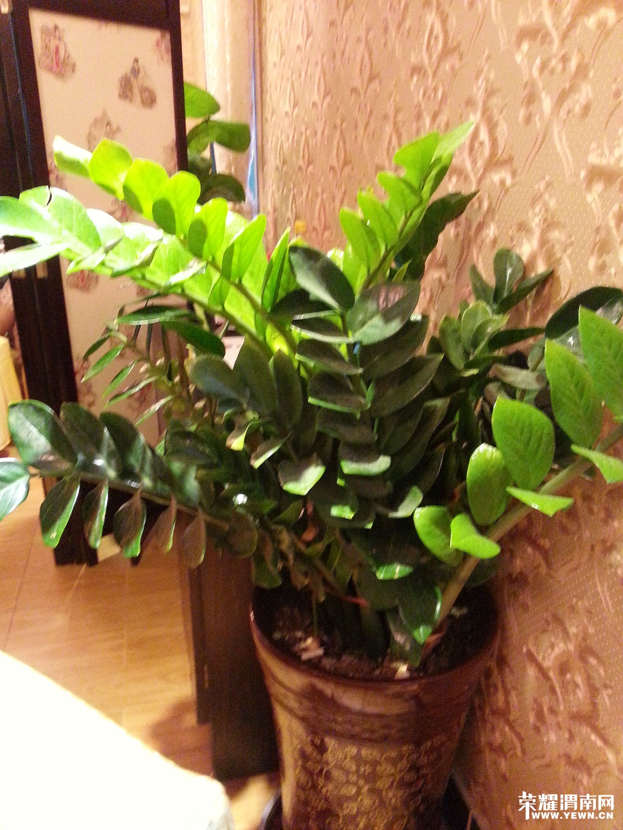 20140709_183953.jpg