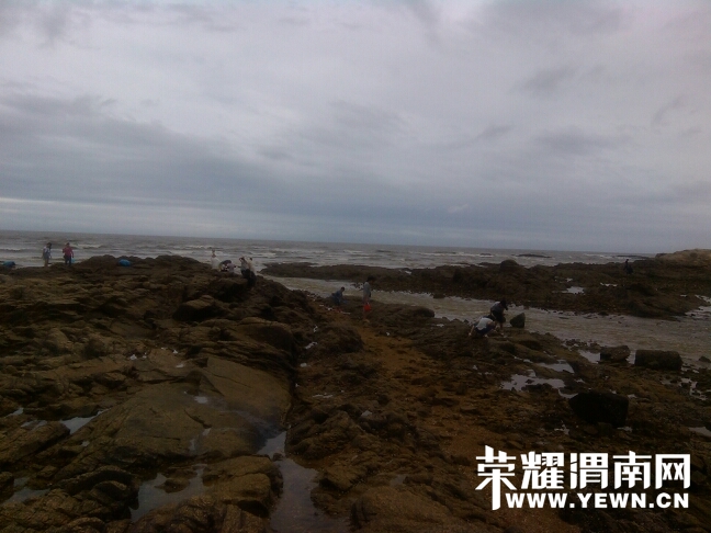 115048hzpo9mp539q8rc4s.jpg