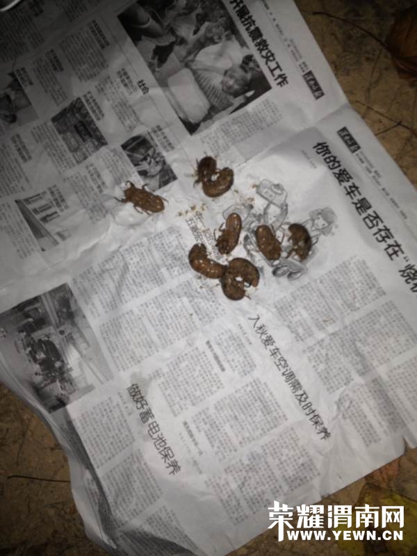 中央巡视组进驻陕西 为期2个月设专门值班电话