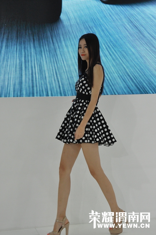 DSC_0060.jpg
