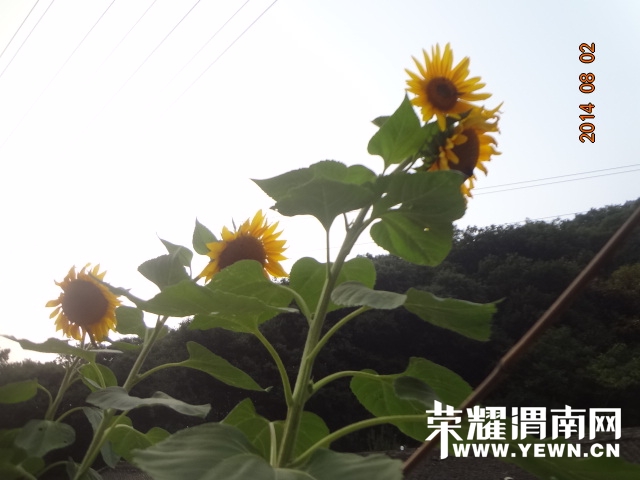 DSC04794.JPG