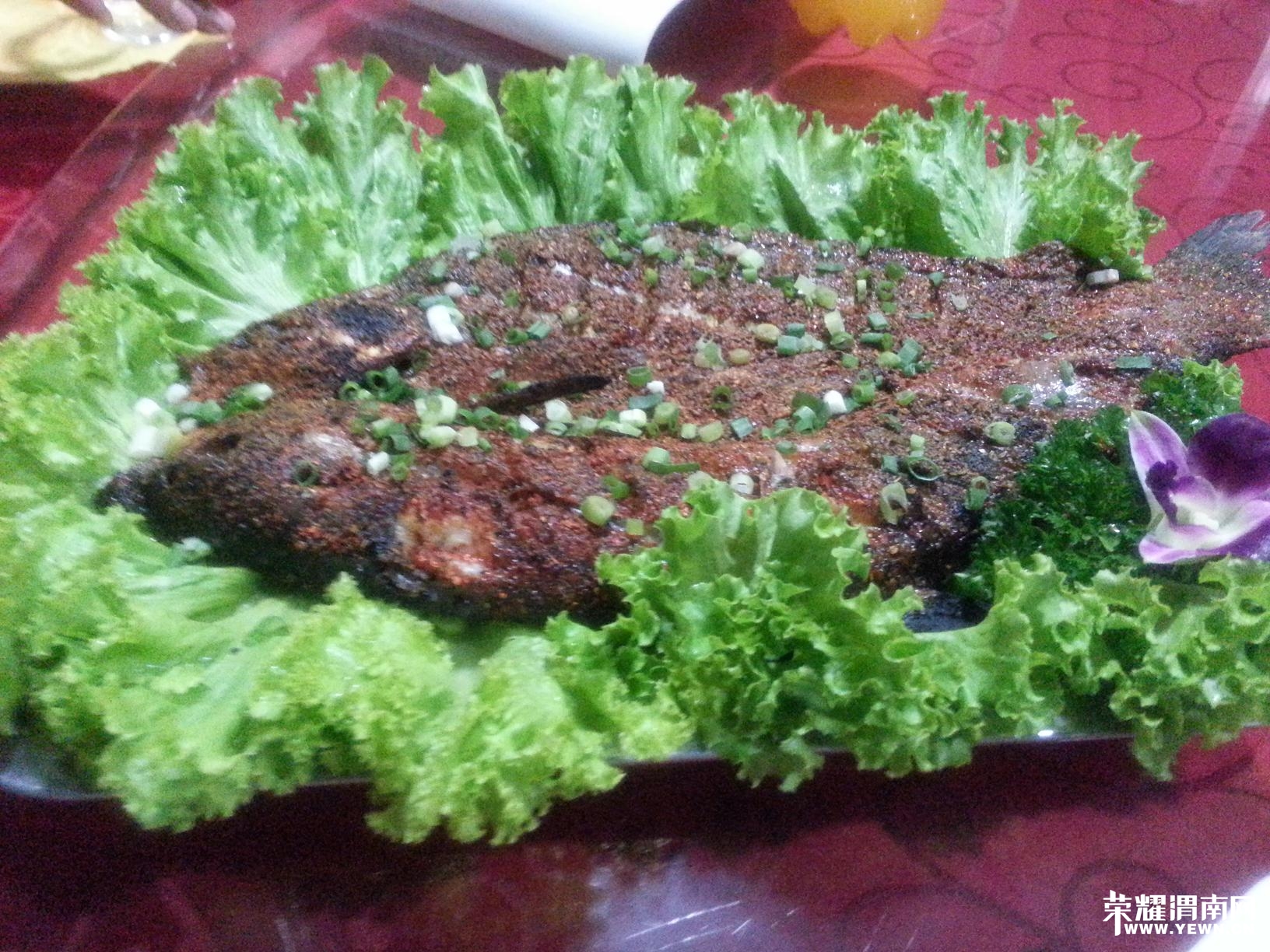 20140822_195312.jpg