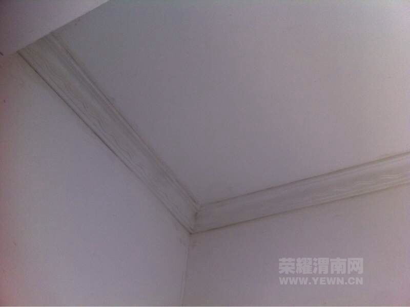 110852ya117938on194fir.jpg
