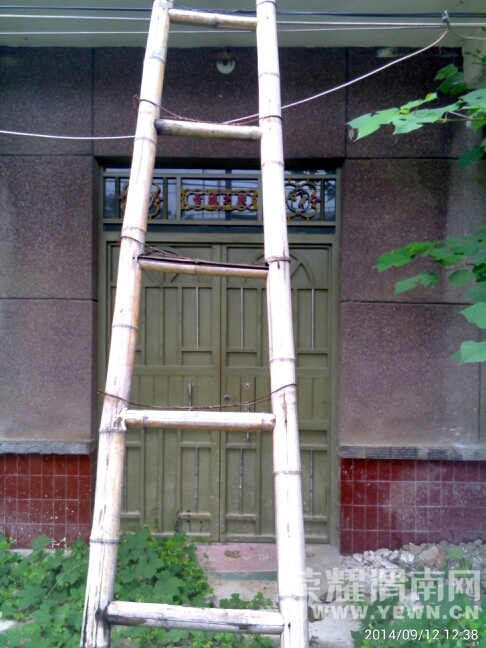 130136eezjtoozp46qzjta.jpg