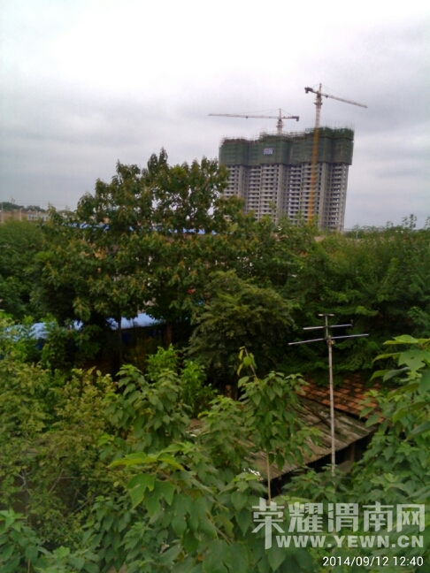 130142wz41q19y9qqyy366.jpg