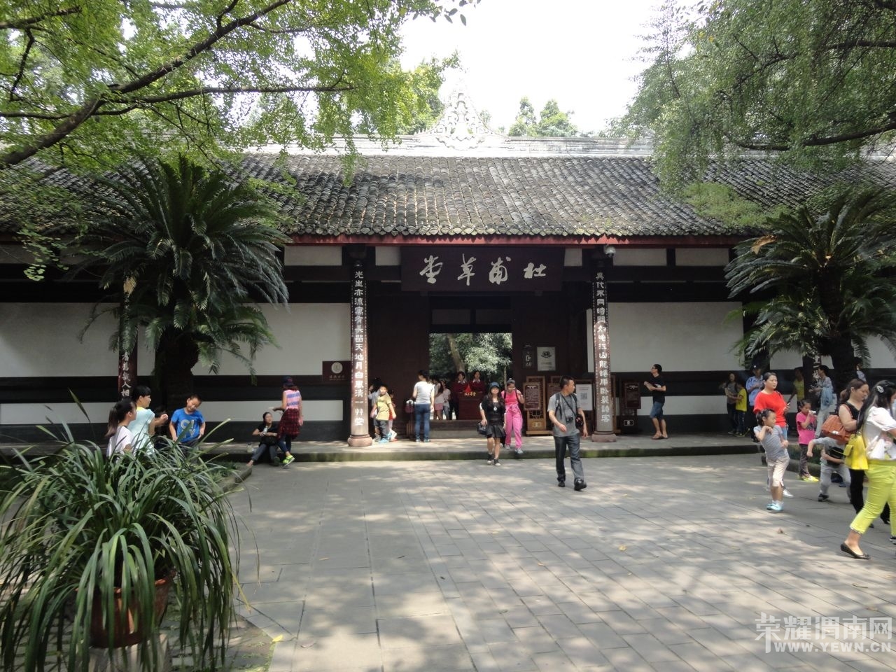 135818yzt54a8il8nehfex.jpg