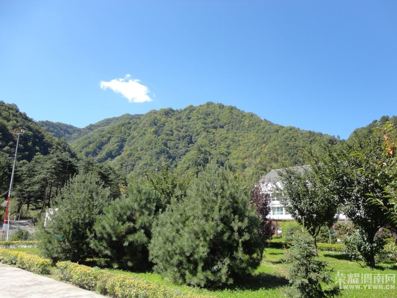 140504mrcminznemm52m2g.jpg