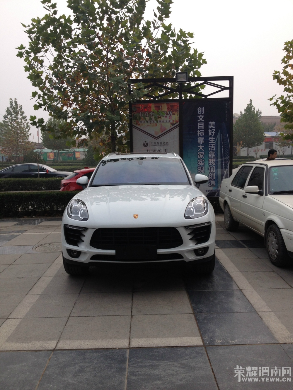 152143l6g1zz7oco9ffemn.jpg