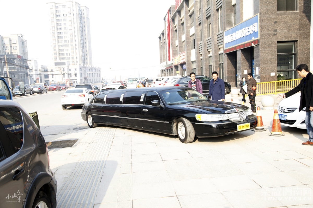 _MG_0010.JPG