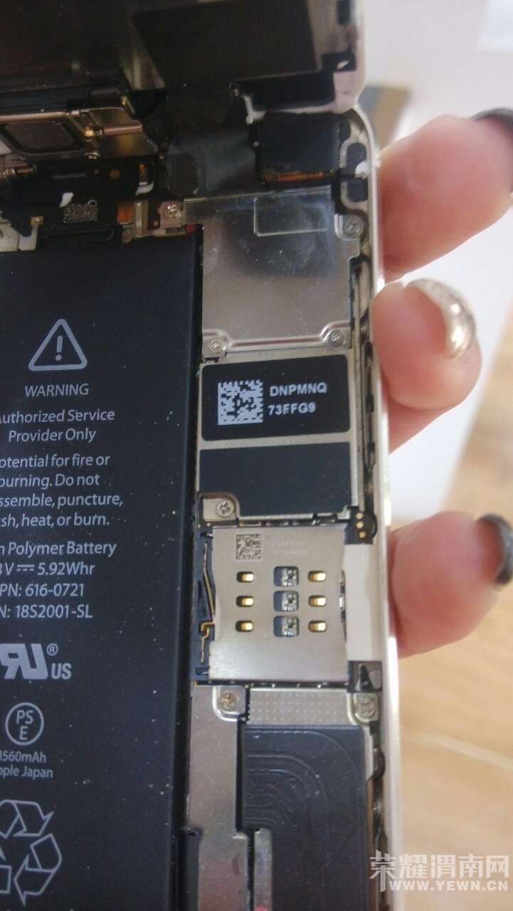 �������к�