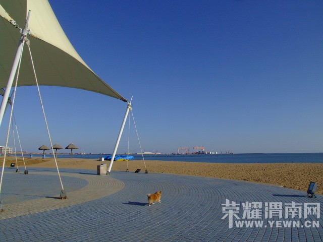 DSCF9829.JPG