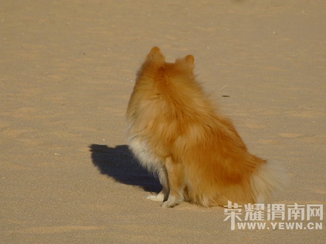 DSCF9881.JPG