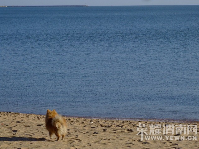 DSCF9834.JPG