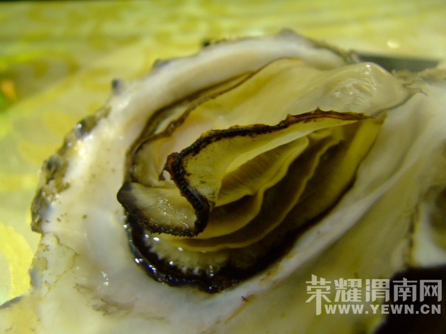 DSCF9915.JPG