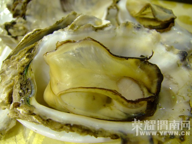 DSCF9916.JPG