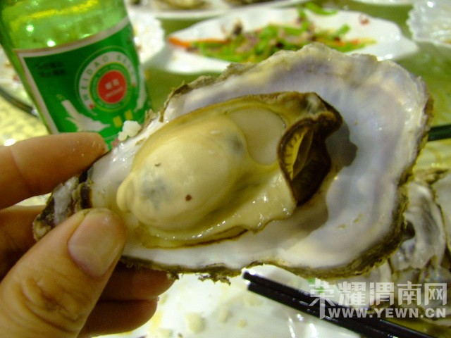 DSCF9918.JPG