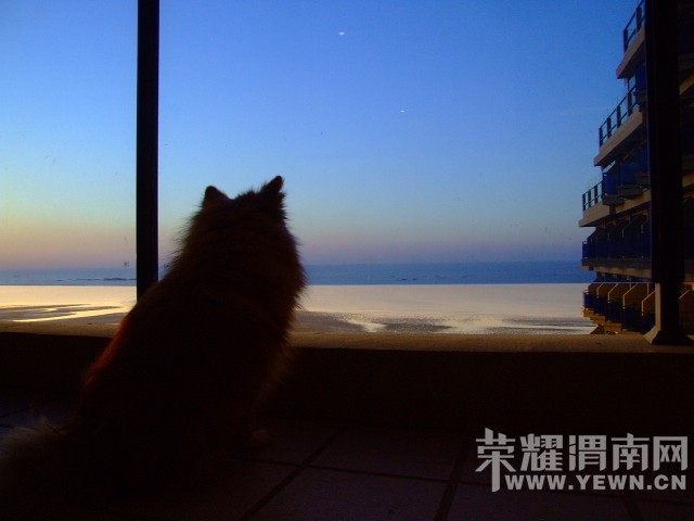 DSCF9972.JPG