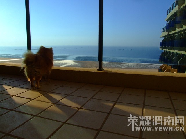 DSCF0008.JPG
