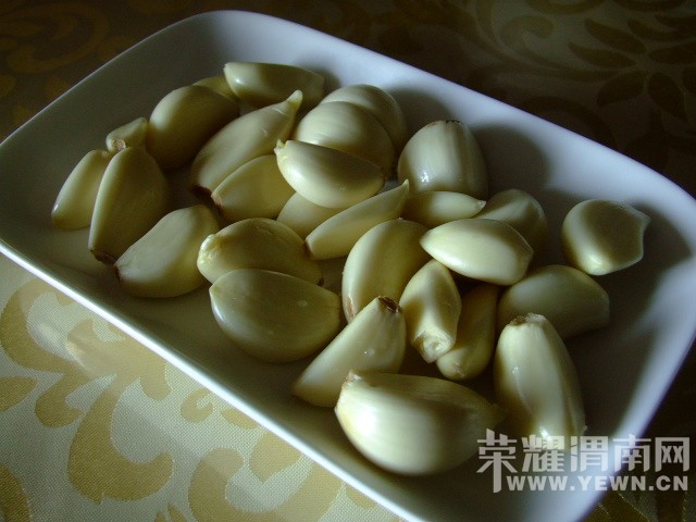 DSCF0037.JPG