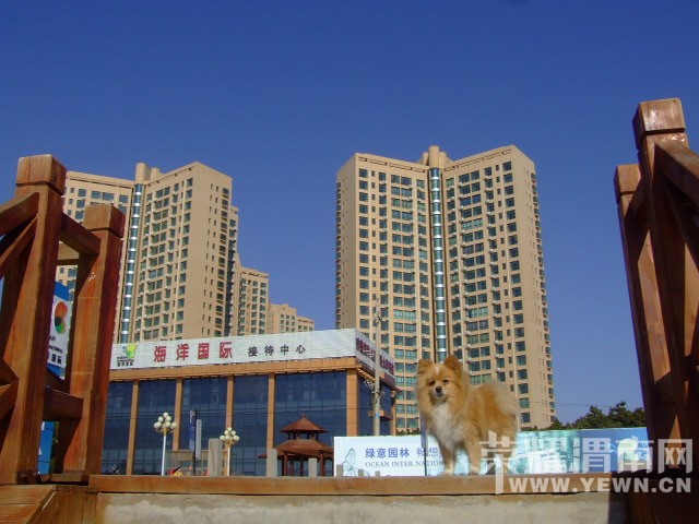 DSCF0071.JPG