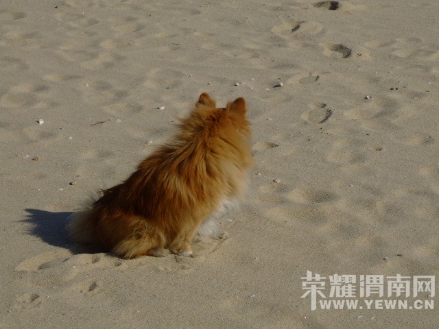 DSCF0050.JPG